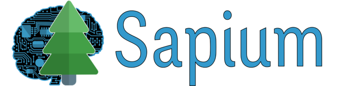 https://www.sapium.fr/image/cache/catalog/assets_sapium/shop_sapium_large-1100x280.png